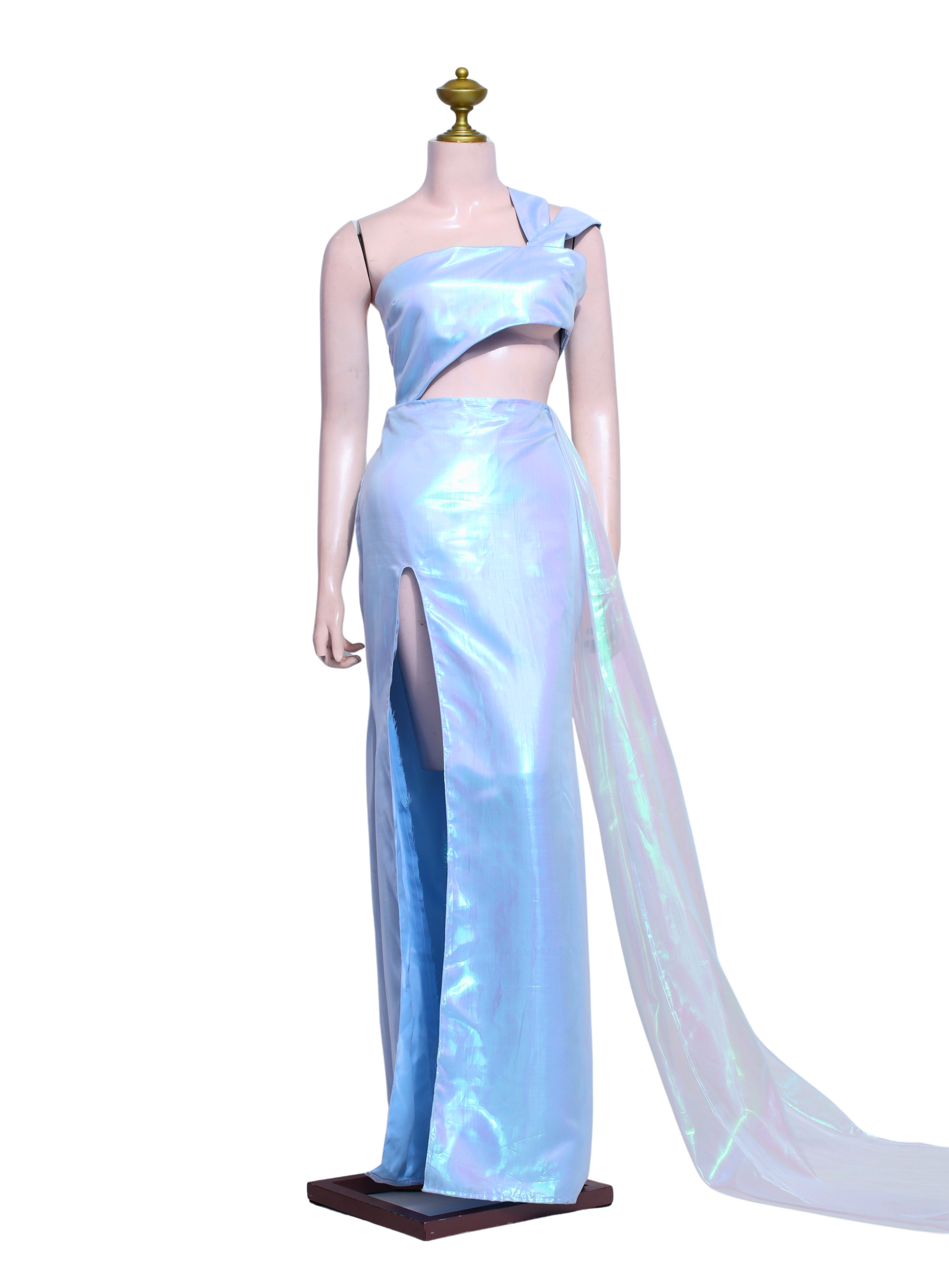 One-Shoulder Gown with Sheer Train - BL02